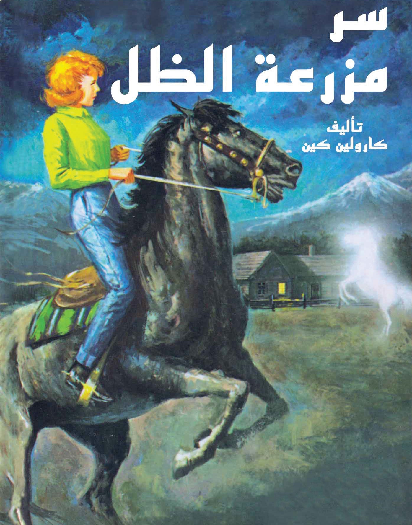 نانسي درو - سر مزرعة الظل